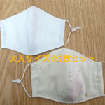 大人用2枚セット☆6重立体マスク