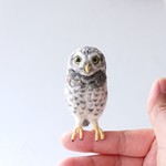【シルニャンさまご注文品】インドコキンメマスコット