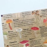 オリジナル　デザインペーパー　natural mushroom ブラウン　A4   10枚