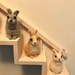 うさぎトリオ