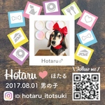 【フォロワーさま専用】名刺、名札