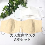 【送料込み】立体マスク大人女性用　使いやすい無地　2枚セット　ダブルガーゼ