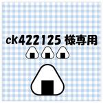 【ck422125様専用】お名前プラマグ