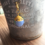 まんまるセキセイインコのチャーム