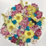  NO.424 お買得品❣️フラワーガーデン㉔／押し花素材