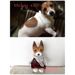 【オーダーメイド】うちの子♥犬人形  ぬいぐるみ