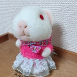 ルビーアイのモルモット🐹