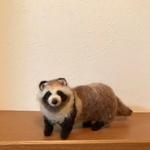 タヌキ