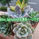elmo_lightyear様専用ページです。