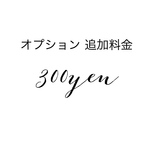 オプション追加料金
