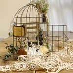 *bird gauge arrange*vol.1