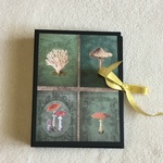 おすそ分けファイル・キノコ