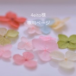 4eito様　専用ページ