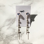 aurora heart earrings