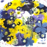 ♡new♡  ♡可愛い押し花セット♡ ♡たくさん入って使いやすい押し花セット♡