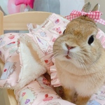 うさぎ ふわもこお布団セット♡ピンクマカロン♡