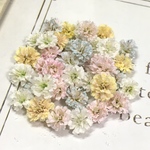 かすみ草　ドライフラワー　pastel sweet