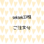seksek13様　　ご注文分