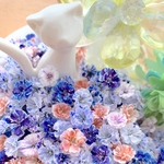 かすみ草ドライフラワー