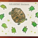 アカミミガメシールセット