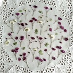 押し花素材　No462　紫色のかすみ草　オフホワイトのかすみ草とタバリアのセット