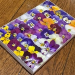 お花屋さんが作ったビオラのドライフラワーお詰め合わせ  a