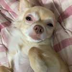 まぁちゃん様専用ページ