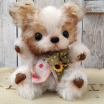 パピヨン仔犬