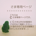 アクセサリー