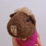 pocomoa様専用🐹オーダーモルちゃん