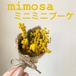 【ミモザの日💛限定SALE】ミモザのミニミニブーケ💛 