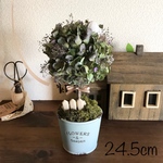 トピアリー ④ 24.5cm ドライフラワー