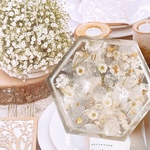 ⚘オーダー品⚘ 花びらを閉じ込めたring pillow