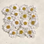 ドライフラワー  花かんざし　15個