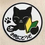 猫お先にどうぞ(初心者マーク)