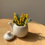ミモザ💛花材💛ドライフラワー