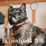 jacco-chan様専用購入コーナー