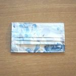 マスクカバー(普通サイズ）