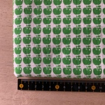 《送料込み》 ＊ ダブルガーゼ ＊ りんご🍏＊52×24☆