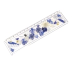 お花の定規/銀葉とﾛｲﾔﾙﾌﾞﾙｰのお花たち