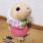 🌵サボテンの服を着たリチャードソンジリス🐿