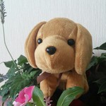 mogu0527様専用ページ