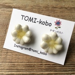 赤い水玉ピアス(陶器)／イヤリング ※チタンポスト