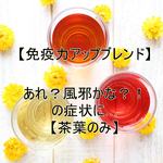 あれ？風邪かな？！の症状に…【茶葉のみ】