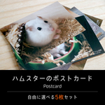ハムスターのポストカード【5枚セット】