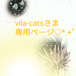 vila-catsさま専用ページ♡*.+゜