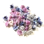 ドライフラワー  かすみ草　　50個