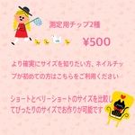 測定用チップ2種類