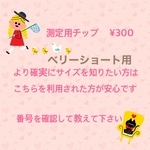 測定用チップベリーショートのみ