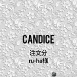 ru-ha様専用